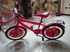 DSI Bicycle