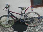 Kids Bicycle