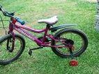 Kids bicycle 20