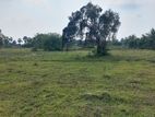 Kilinochchi 25 Acres Land For sale