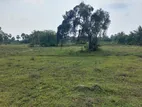 Kilinochchi 25 Acres Land For sale