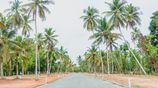 Kimbulapitiya Highly Residential Land for Sale Near Katunayaka Airport