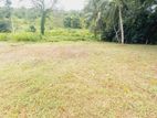 කිඳෙල්පිටිය හන්දියට ලඟින් වටිනා ඉඩමක්