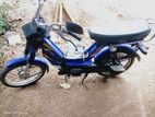 Kinetic 48CC 2025