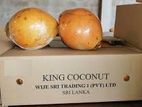 King Coconut Export to Dubai