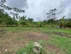 Kiribathgoda 142 Perches Bare Land for Sale