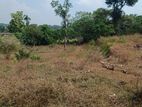 Kiribathgoda : 50 perches Land for Sale at Makola
