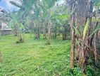 kiribathgoda Makola ideal residential land for sale