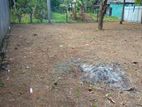 Kiribathgoda Makola Valuable Land for Sale