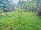 kiribathgoda makola Y junction quality land for sale