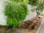 කිරිබත්ගොඩ නගරයෙන්ම පර්චස් 25ක බිම් කොටසක්