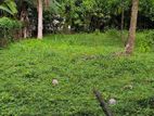 කිරිබත්ගොඩ ප්රදේශයේන් පර්ච්ස් 10 ක ඉඩම විකිනිමට