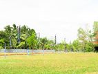 කිරිබත්ගොඩට වත්තල බස් පාරට මායින්ව