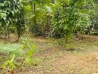 කිරිල්ලවල, ඉඹුල්ගොඩින් අගනා බිම් කොටසක්