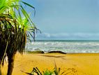 Kirinda Tourist Beach Face Land for Sale