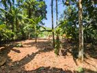 කිරිඳිවැලෙන් වටිනා ඉඩමක්