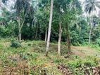 🌿 කිරිඳිවැලින් අගනා ඉඩමක් විකිණීමට / YS 15800