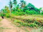 ✨ කිරිඳිවැලින් වටිනා පර්චස් 12.5ක් , මිල ලක්ෂ 26යි / CH 14639