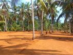 Kirindiwela land for sale