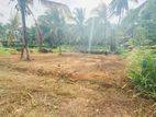 Kirindiwela Land for Sale (SSPL-359)