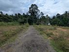 Kirindiwela Land Sale