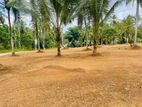 Kirindiwela New Land for Sale