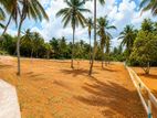 Kirindiwela Residential Land for Sale P9