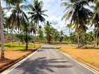 Kiriwathuduwa land for sale