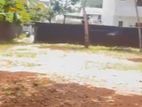 Kirulapone Land for Sale ( RLS - 783 )