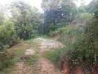 Kithulgala Valuable Land for Sale 37.4 Perches