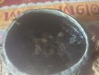 Kithull Pani