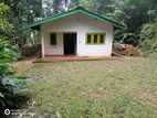 Kitulgala, Gonagamuwa Estate 21 Acres of Mahogany Land for Sale