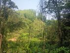 Kitulgala-Welithuduwa Rd|Batakitta Junction 416 Perches of Land for Sale