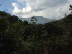 Kitulgala – Welithuduwa Road 416 Perches of Land for Sale
