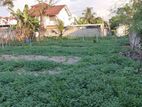 (KL821) 10 Perch Land for Sale in Negombo