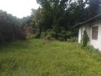 (KL855) 80 Perch Land for Sale in Negombo