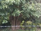 (KL908) 327 Perch Land for Hotel Project in Trincomalee