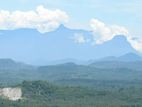 (KL924) 12 Acre Land for Sale in Gampaha