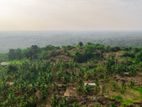 (KL924) 12 Acre Land for Sale in Gampaha