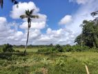 (KL954) 84 Perch Land for Sale in Seeduwa