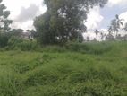 (KL986) 11.75 Perches Land for Sale in Akkarapana, Negombo