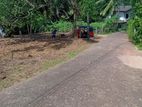 කලගෙඩිහේන අගනා ඉඩමක් විකිණීමට