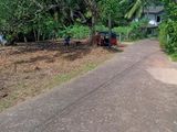 කලගෙඩිහේන අගනා ඉඩමක් විකිණීමට