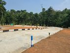 කලගෙඩිහේන නගරයෙන් නුවරපාරට 1.7kmක දුරින් සියලු පහසුකම් සහිත ඉඩම් විකිණීම