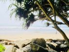 කළුතර – පයාගල පොතුවිලෙන් වටිනා නේවාසික බිම්කොටසක් / KK 12988