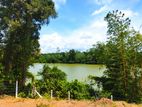 කළුතර, වස්කඩුව ප්‍රදේශයේ පිහිටි ඉඩමක් විකිණීමට ඇත. (ID : WADU002S)