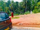 කළුතර, වස්කඩුව ප්රදේශයේ පිහිටි ඉඩමක් විකිණීමට ඇත. (ID : WADU002S)