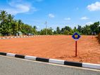 කලුතරින් වටිනා ඉඩමක් විකිණීමට