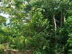 කඹුරුගමුවෙන් අගනා බිම් කොටසක්