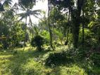 කඳාන නාගොඩ ඉඩමක් විකිණීමට